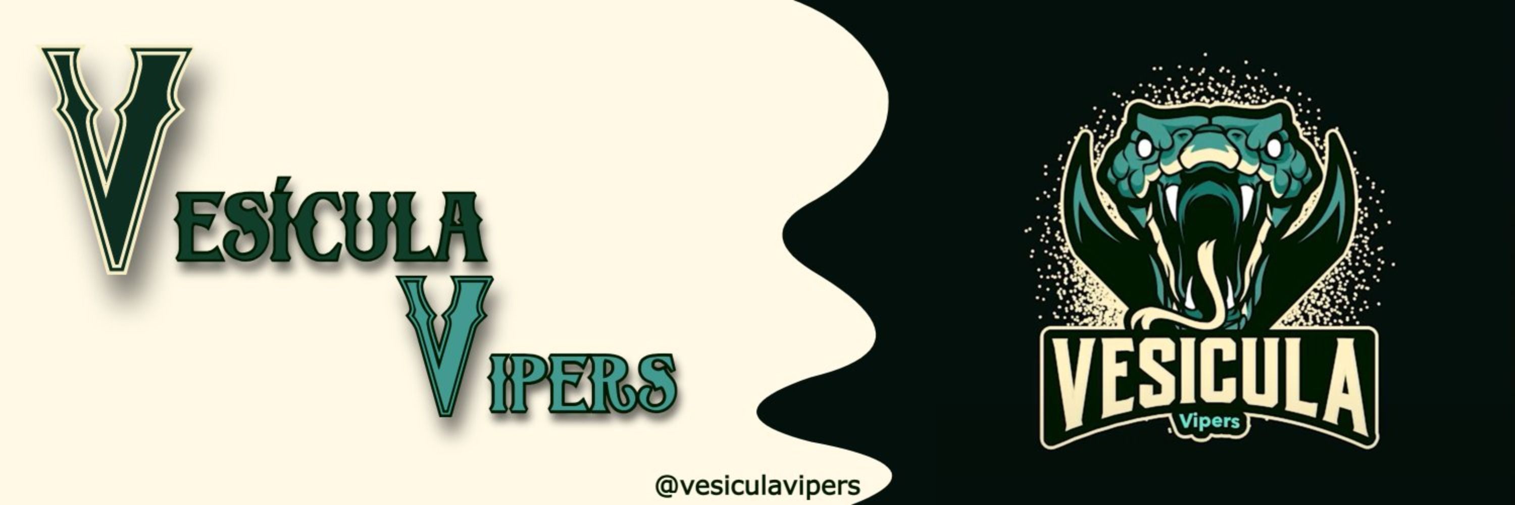 Vesícula Vipers