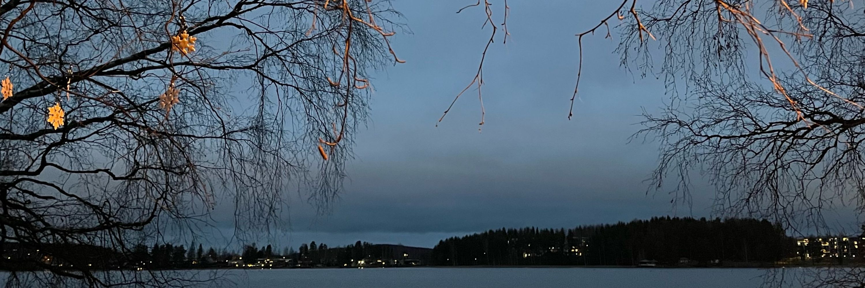 Hanna-Leena Pesonen