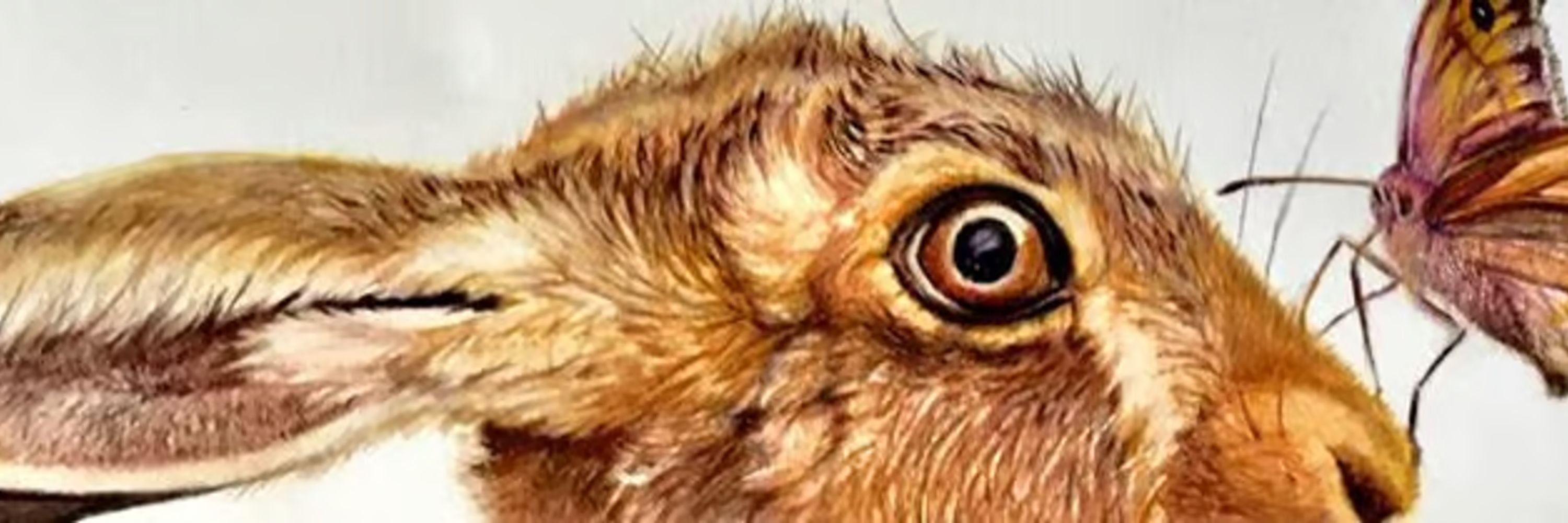 March Hare