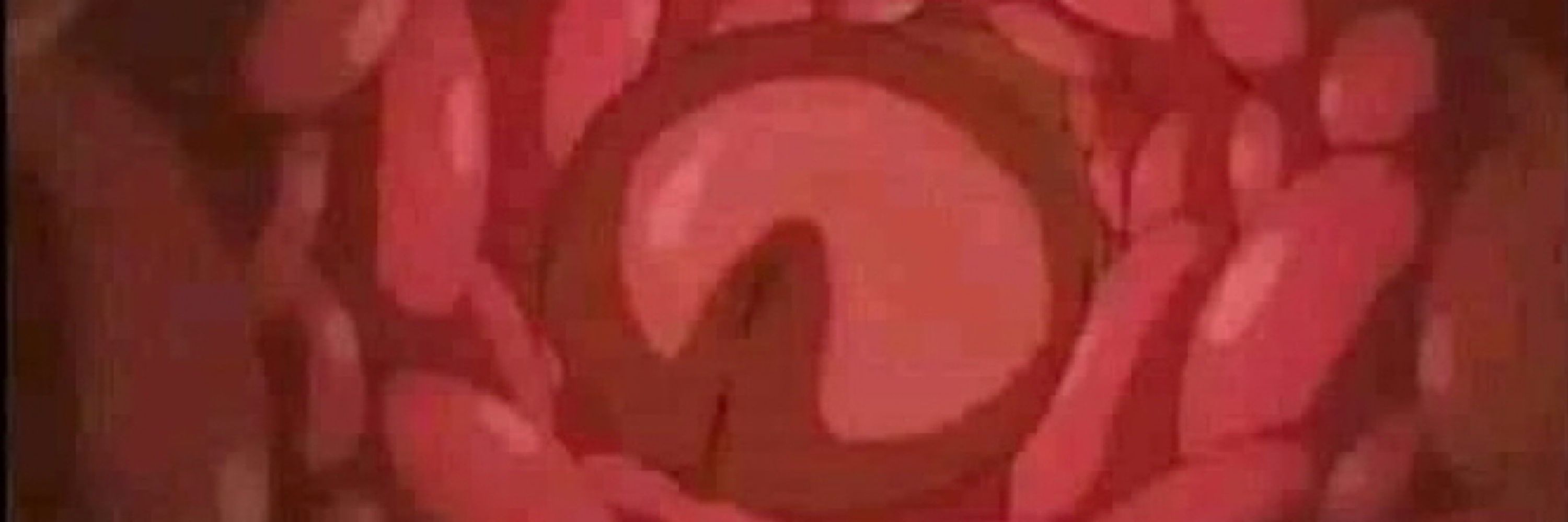 Empty the bunny