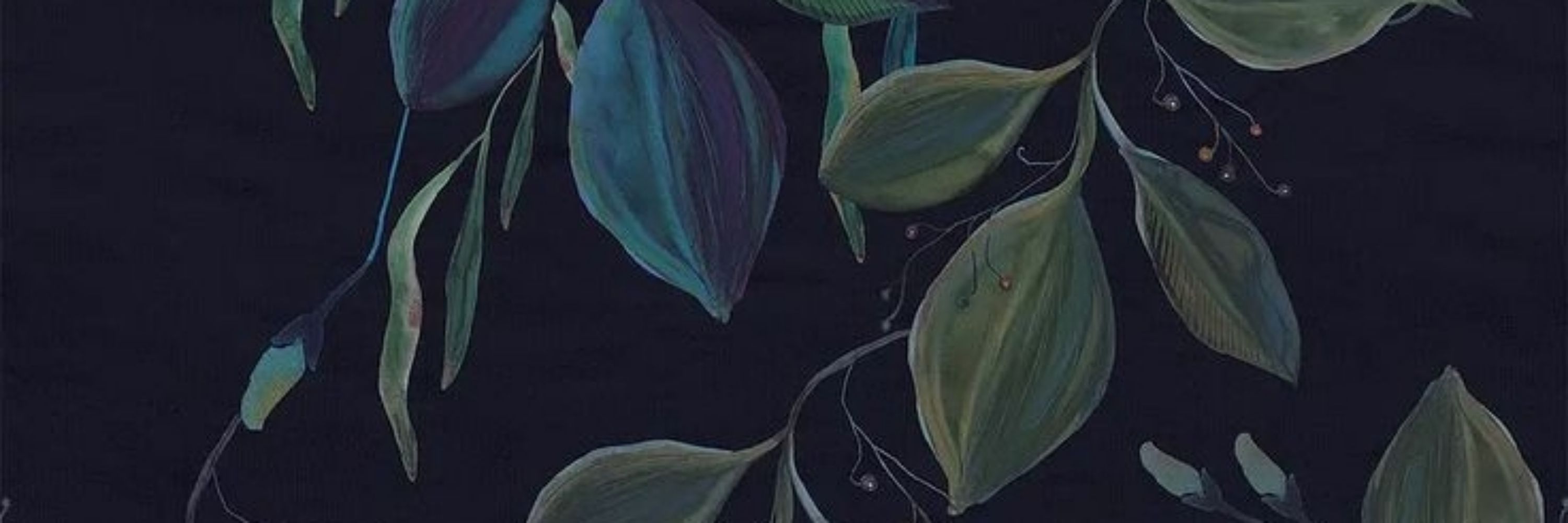 Aurore 🌿