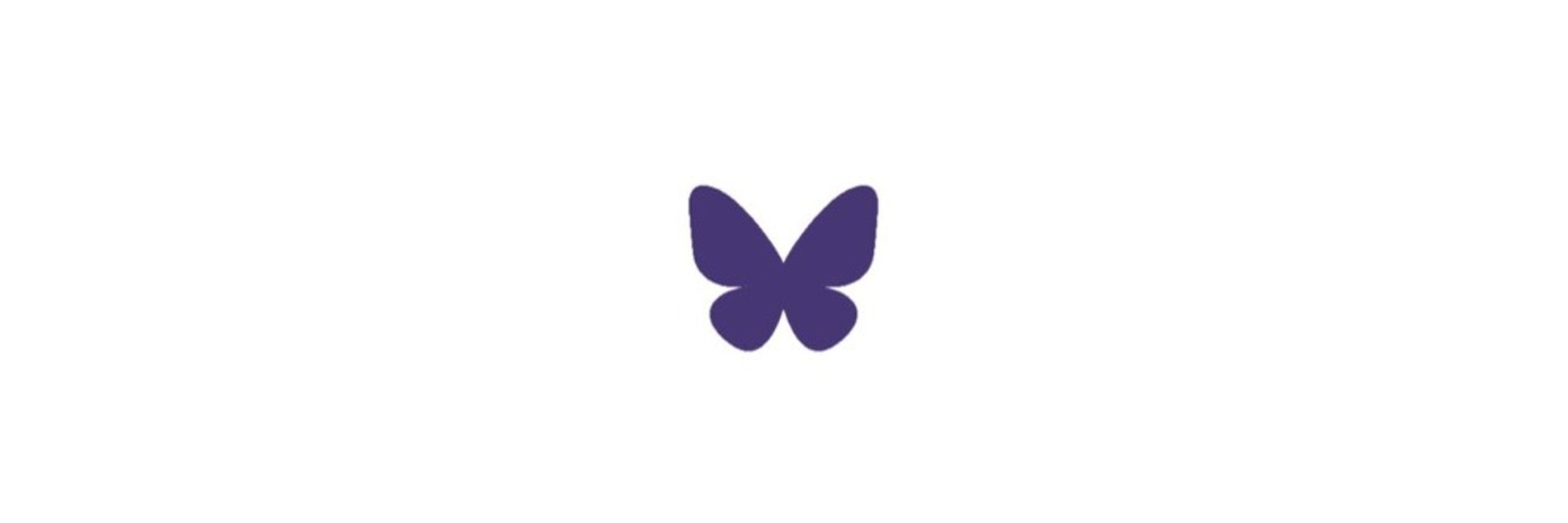 Segredin.com