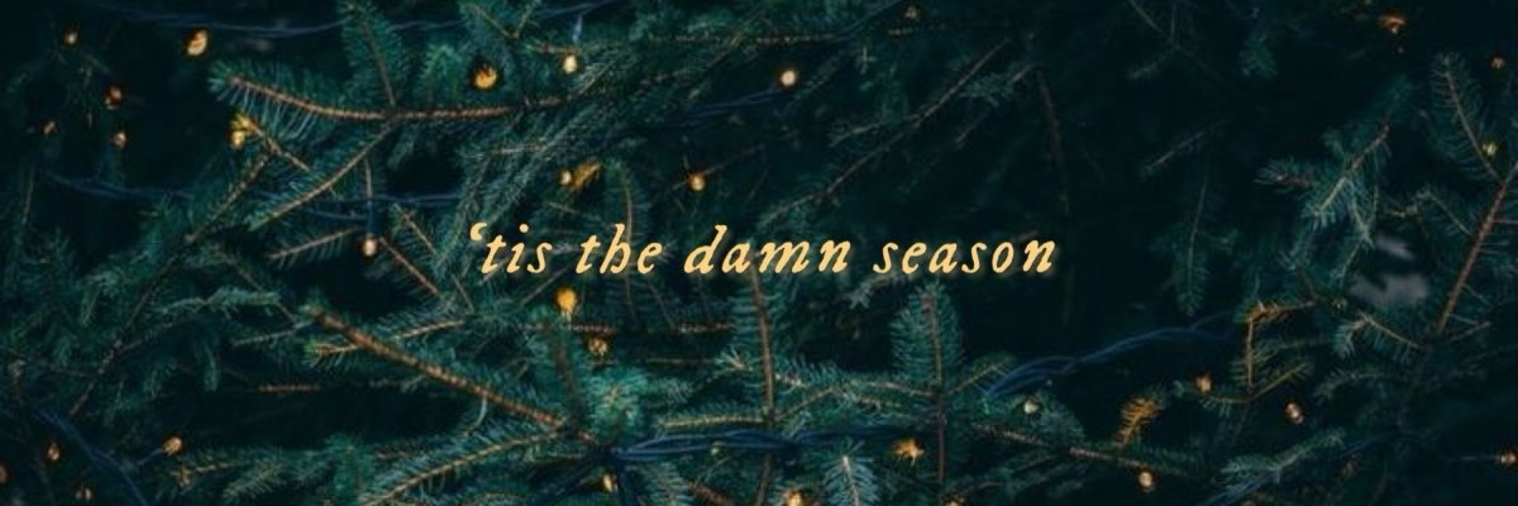 danae 🎄