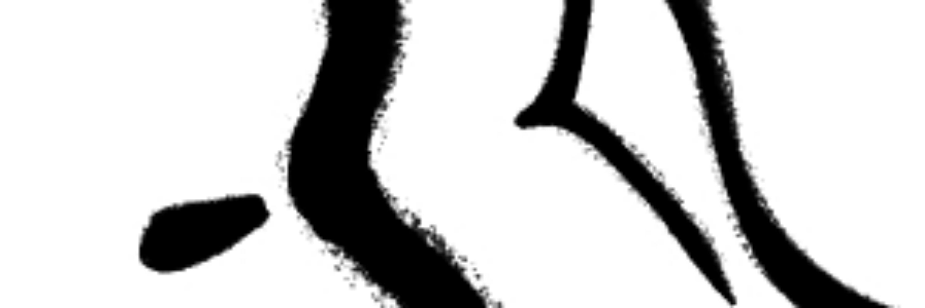Shibe