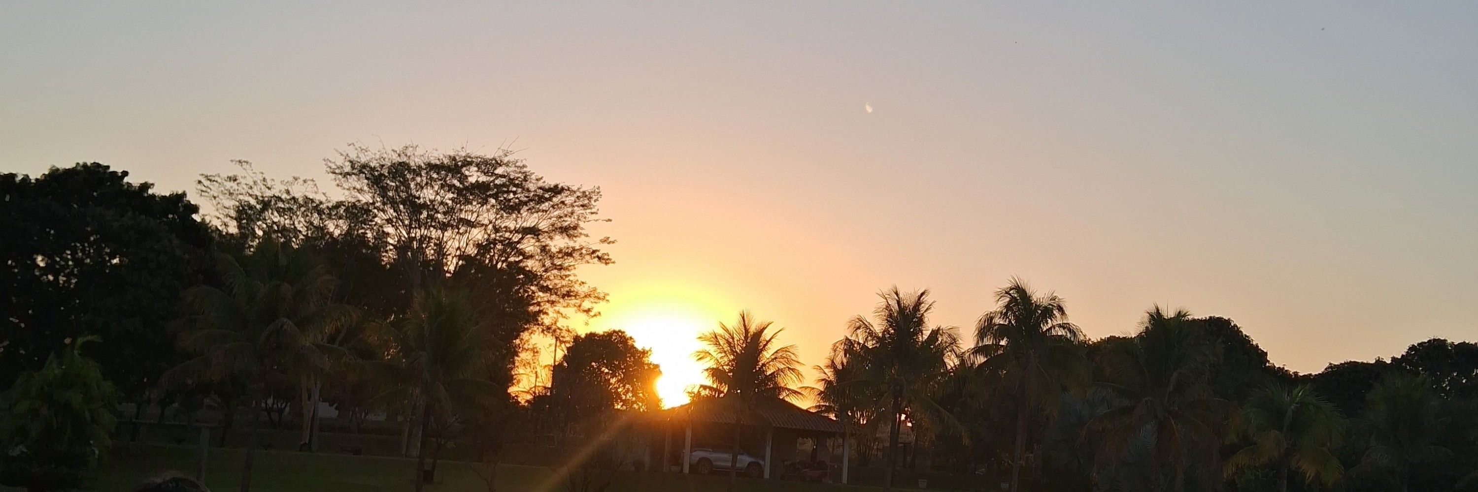 Isabela 
