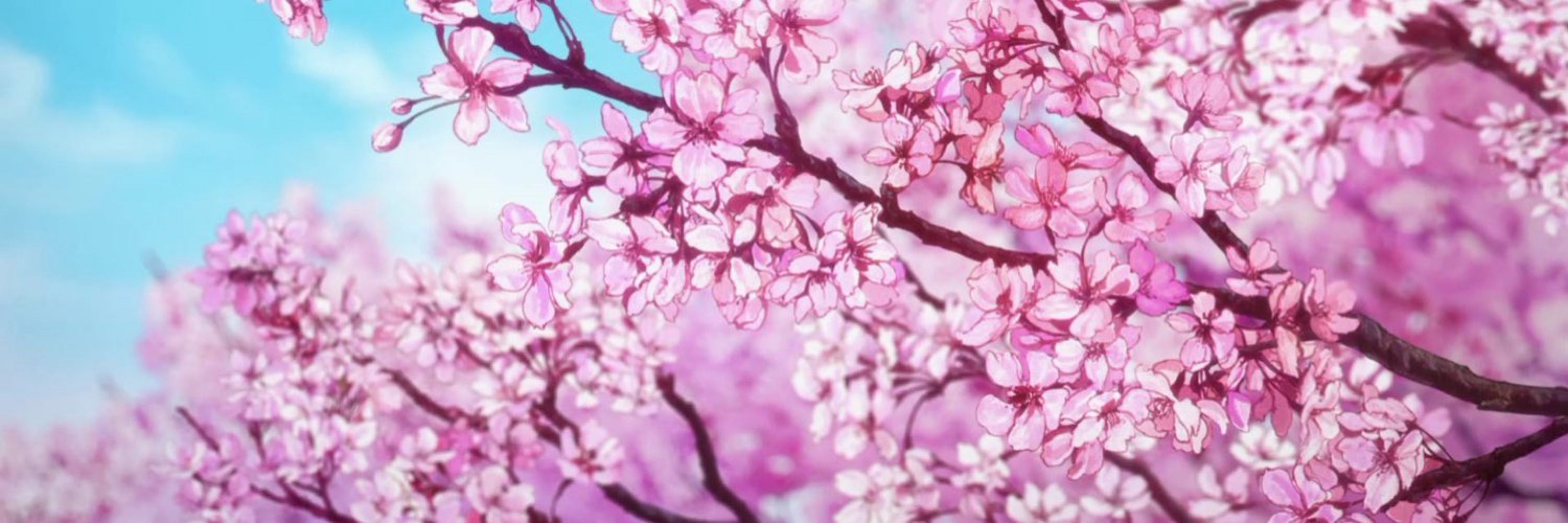 𝓃𝒾𝓃𝒶 🌊🌸