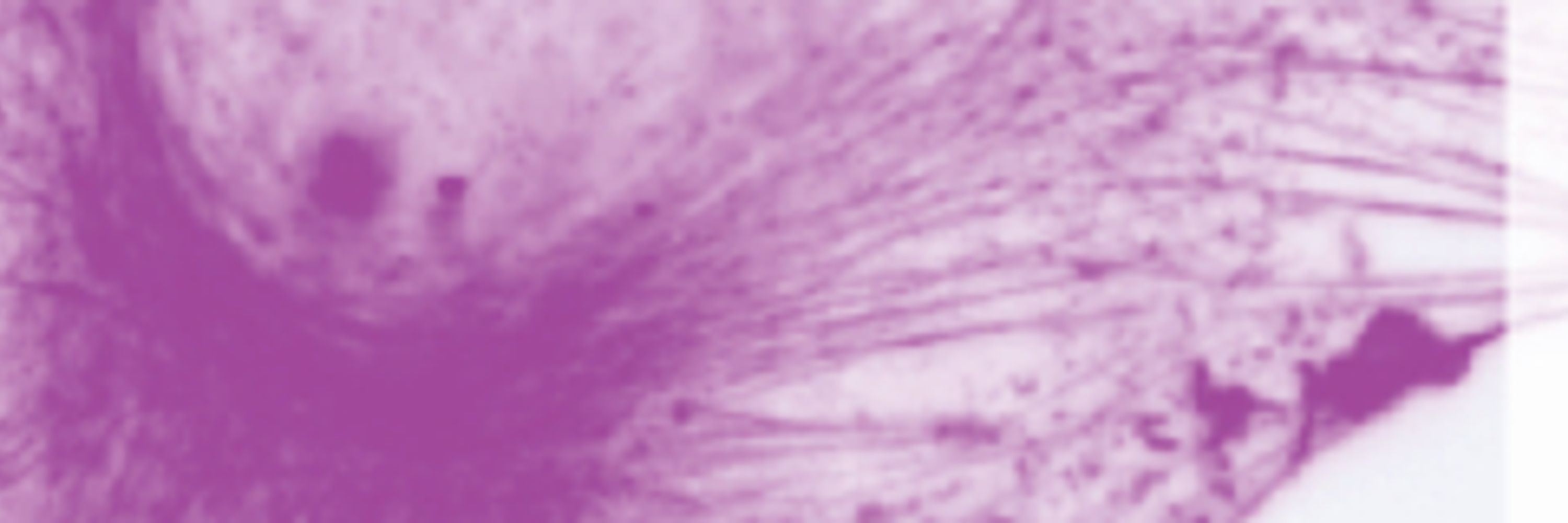 German Neuroscience Society e.V. - NWG