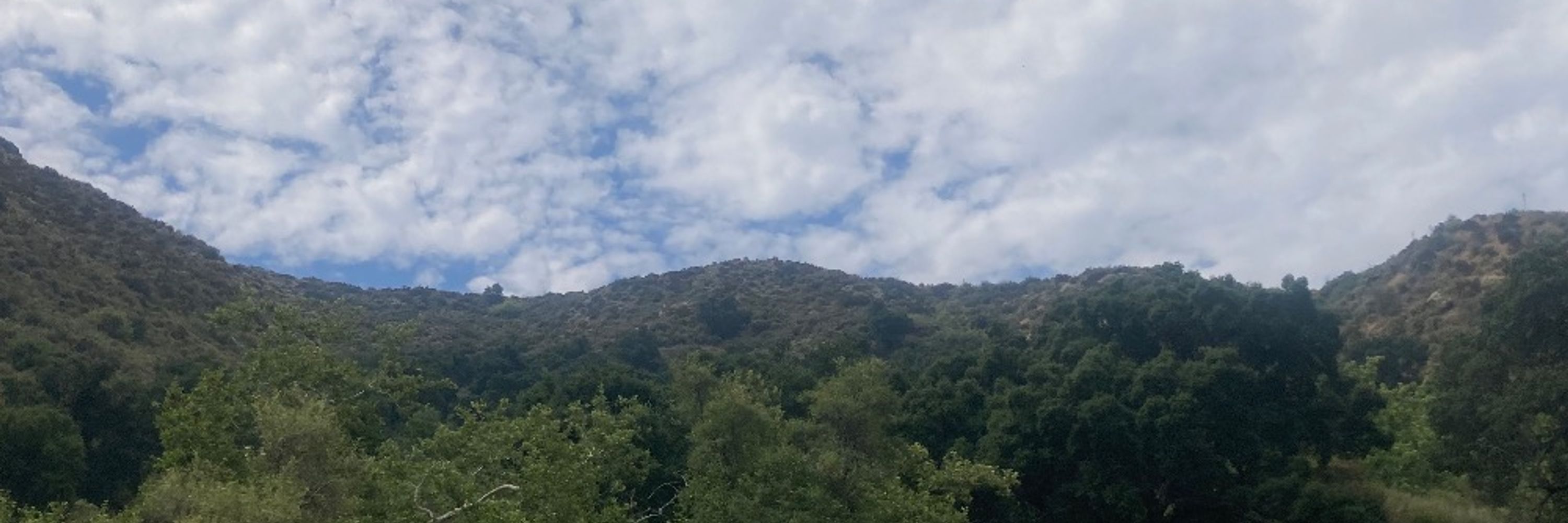 Reimagine The Land