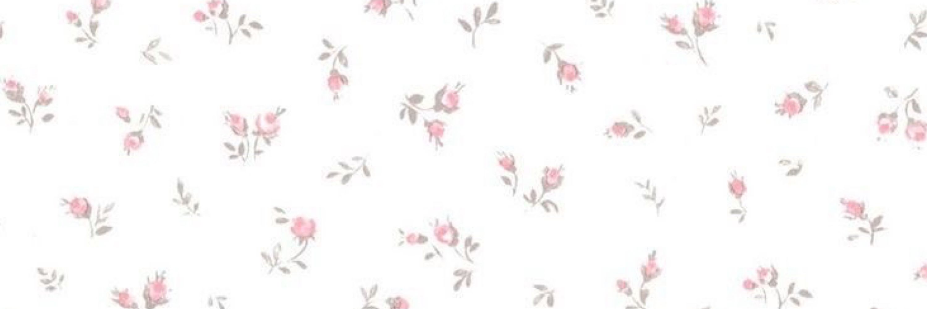 meena 𓊆ྀི