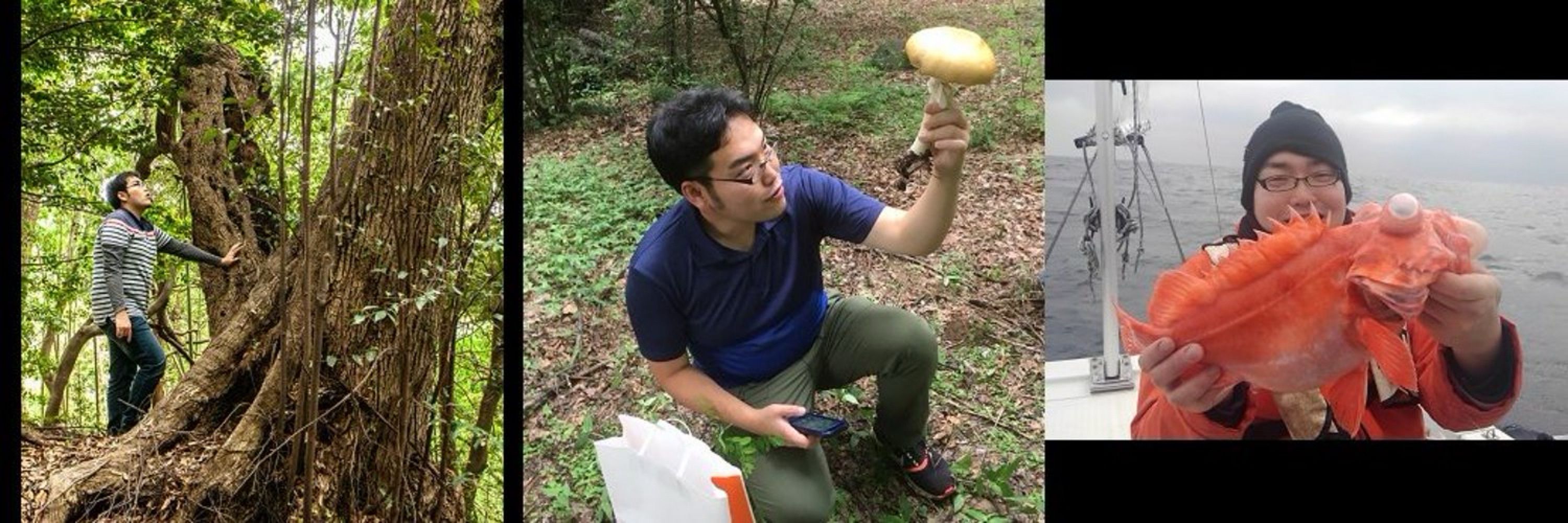 茸本朗（野食ハンター）