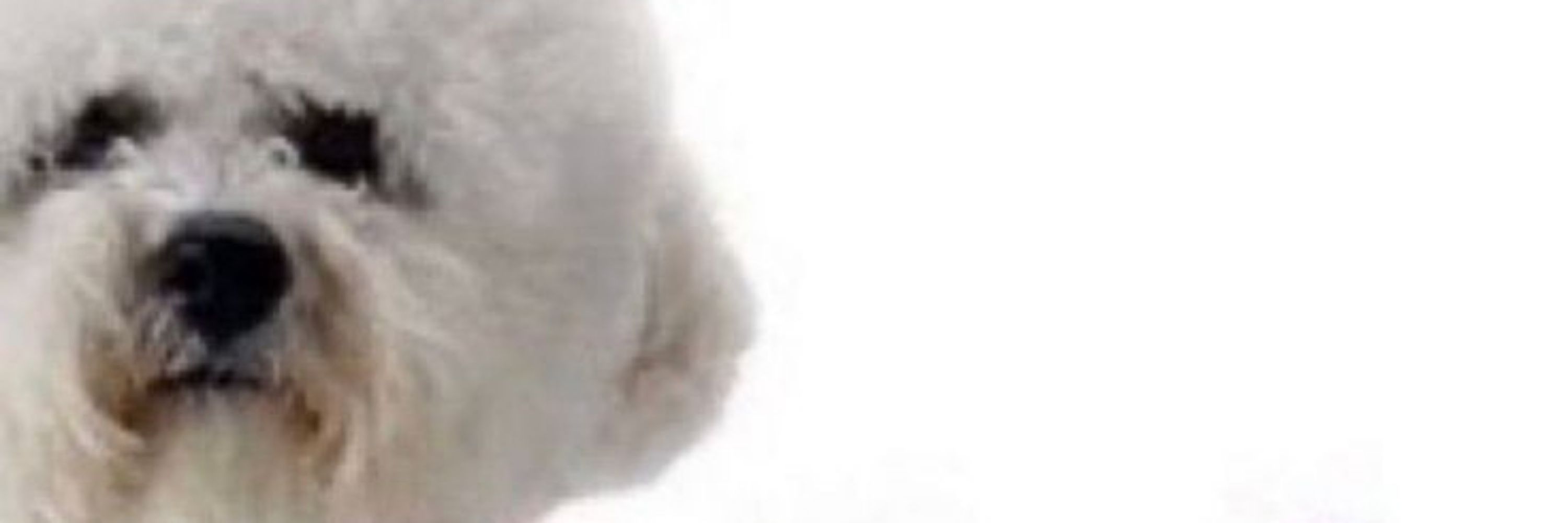 le
