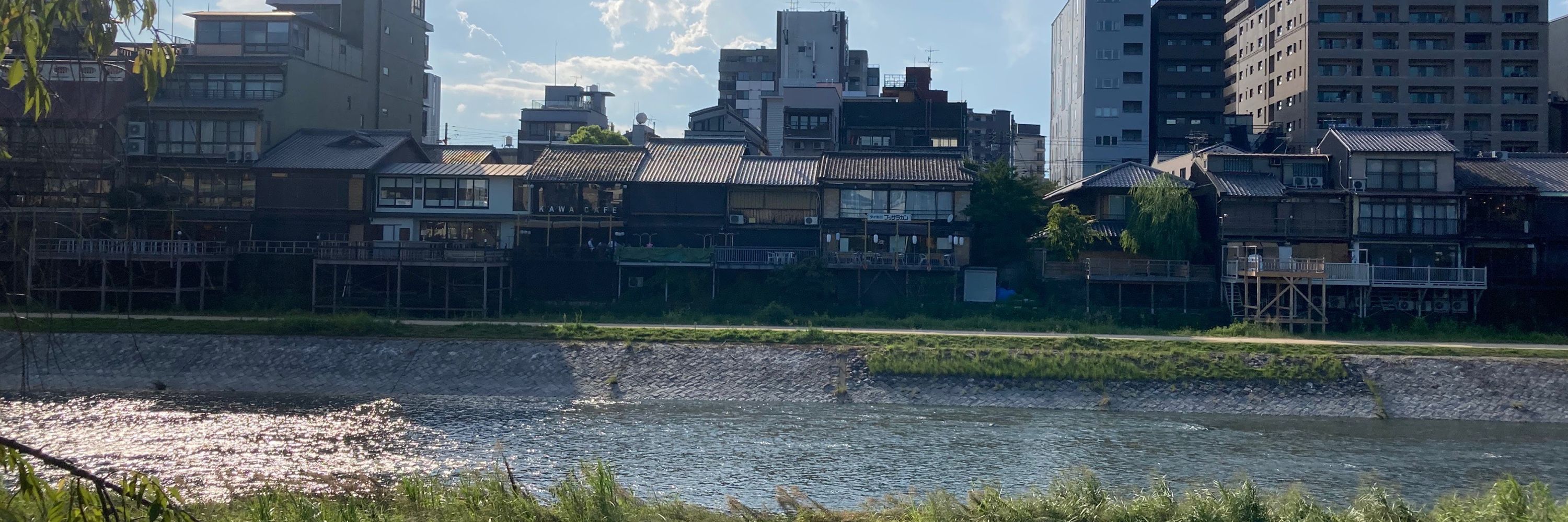 ひめたか