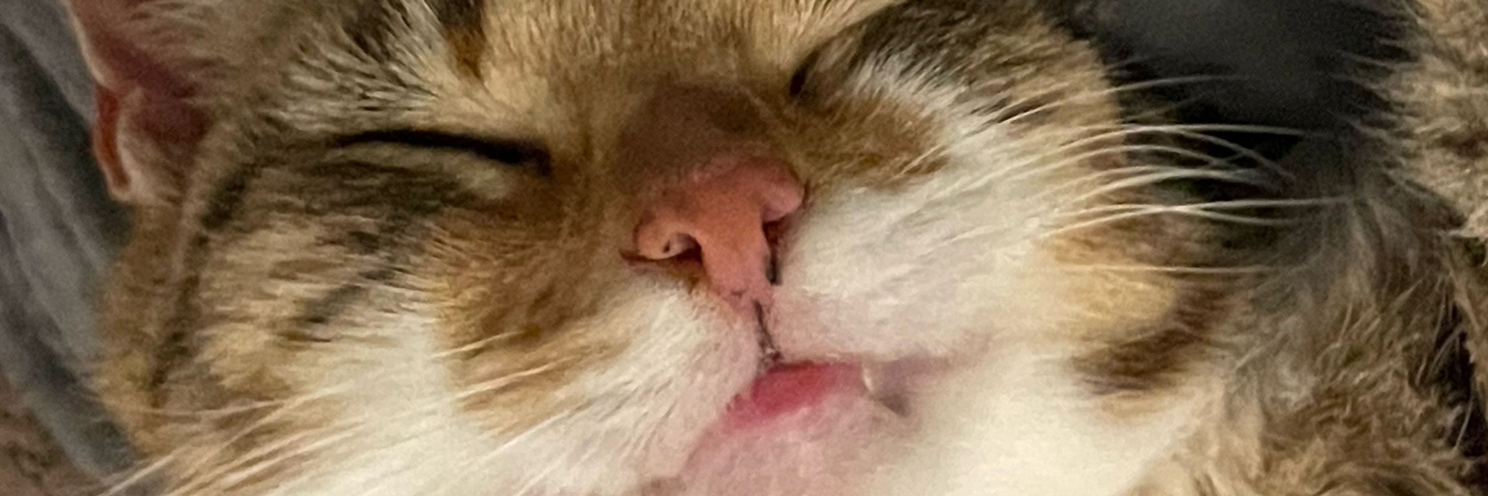 Ro
