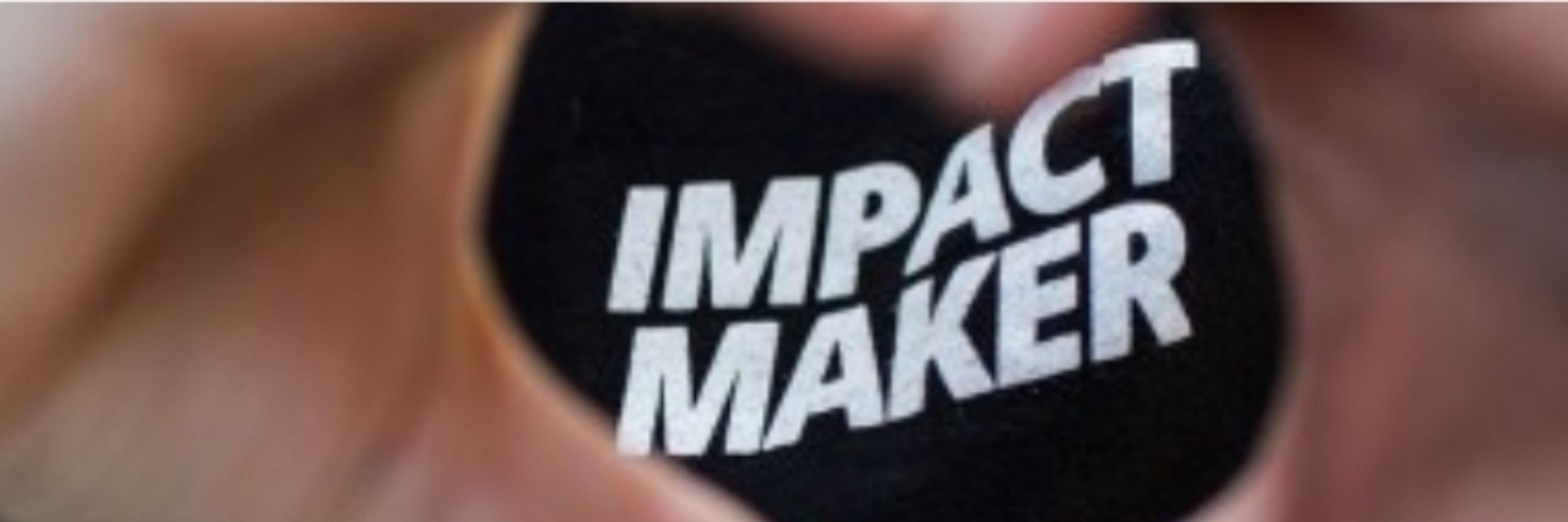 Profitable Impact Academy