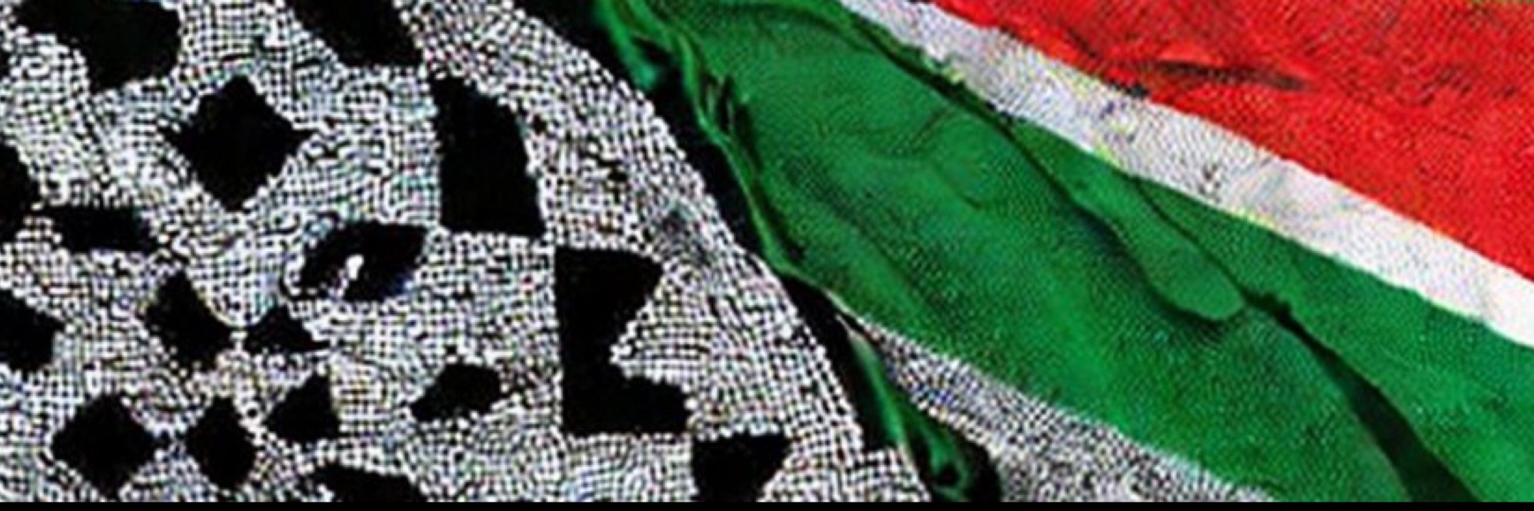 @translating_palestine