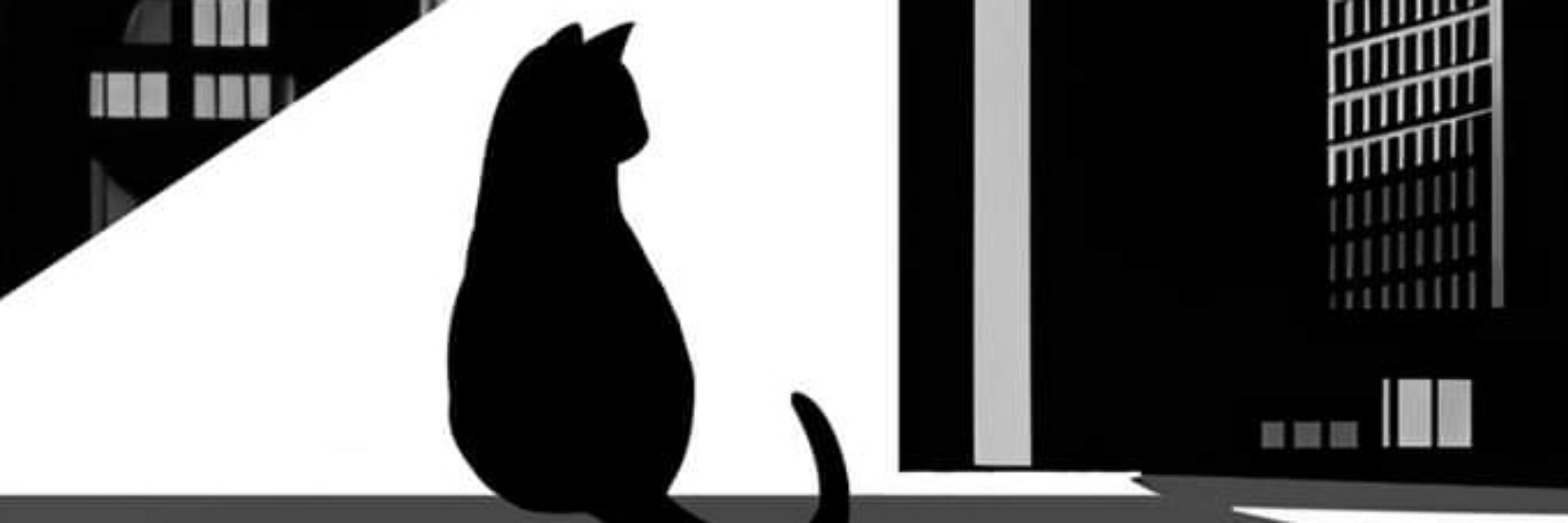 The Curious Cat 
