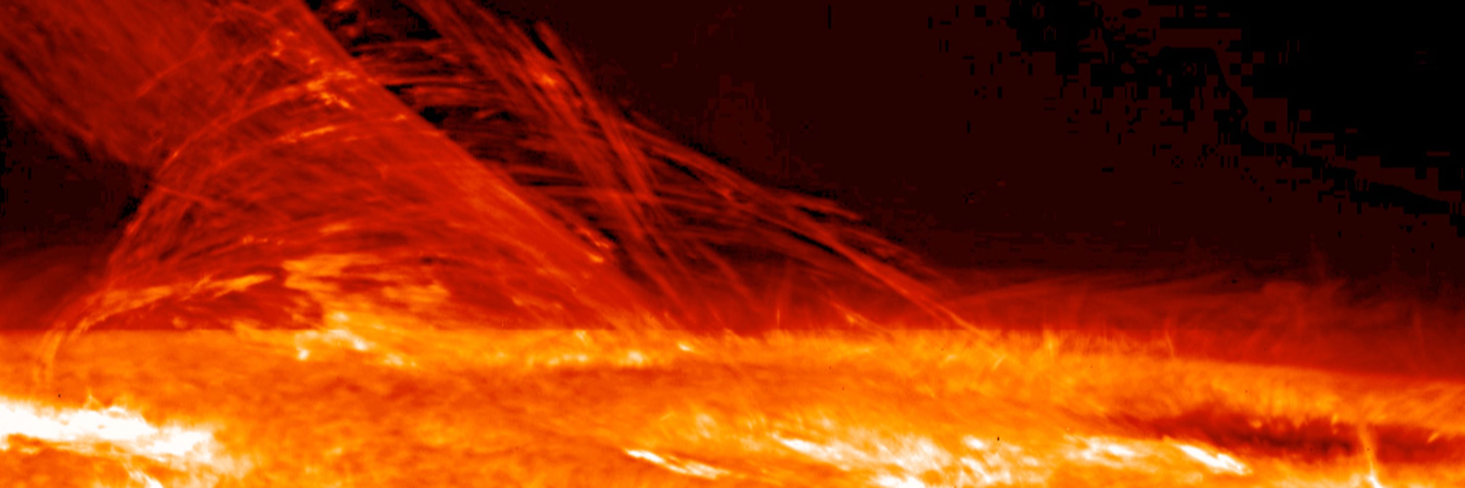 The sun
