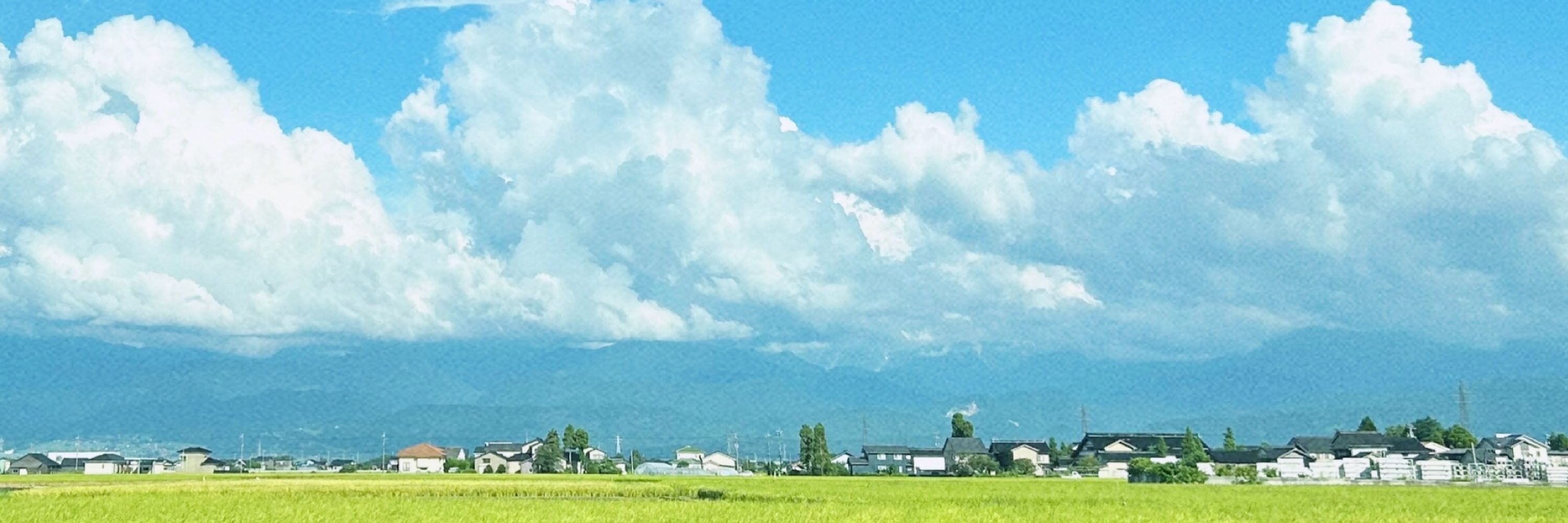 まの