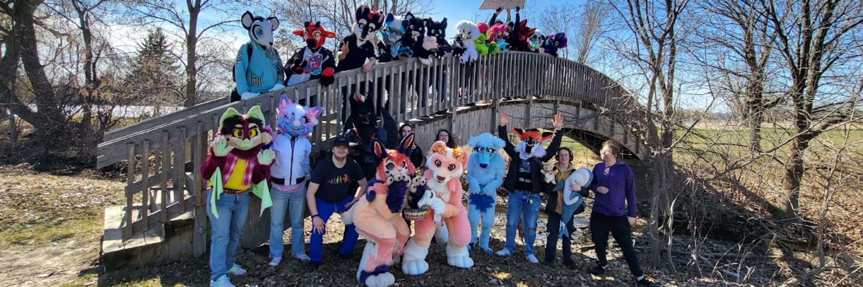 Buncatcore🌿🐰🐱