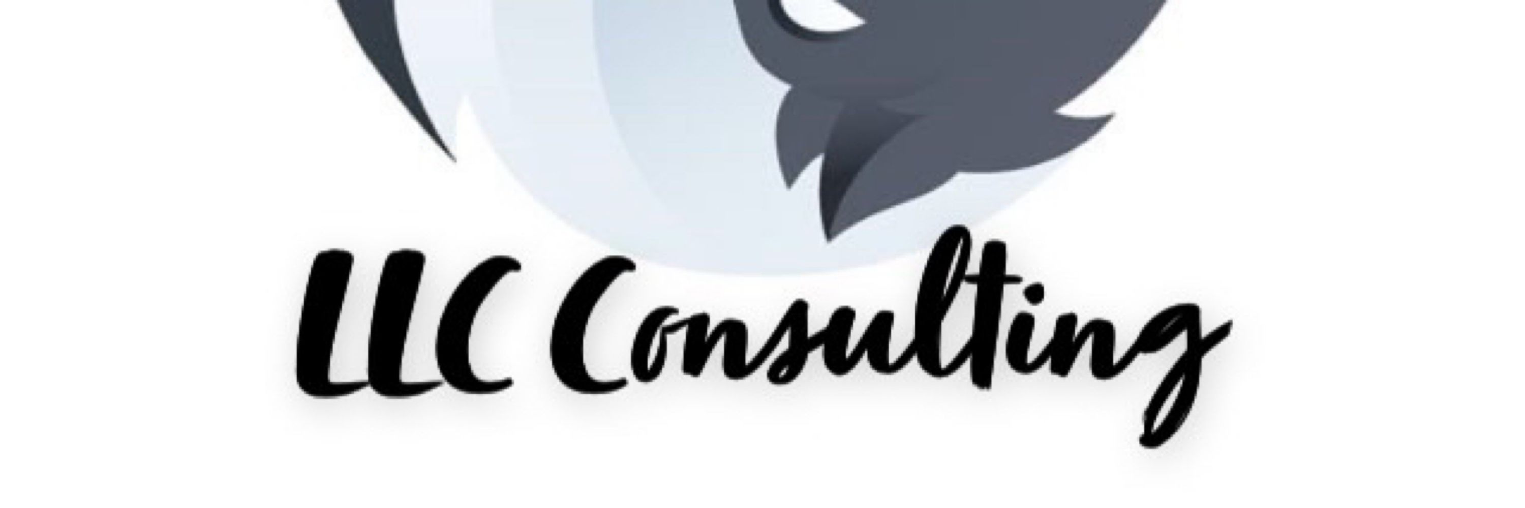 LLC Consulting