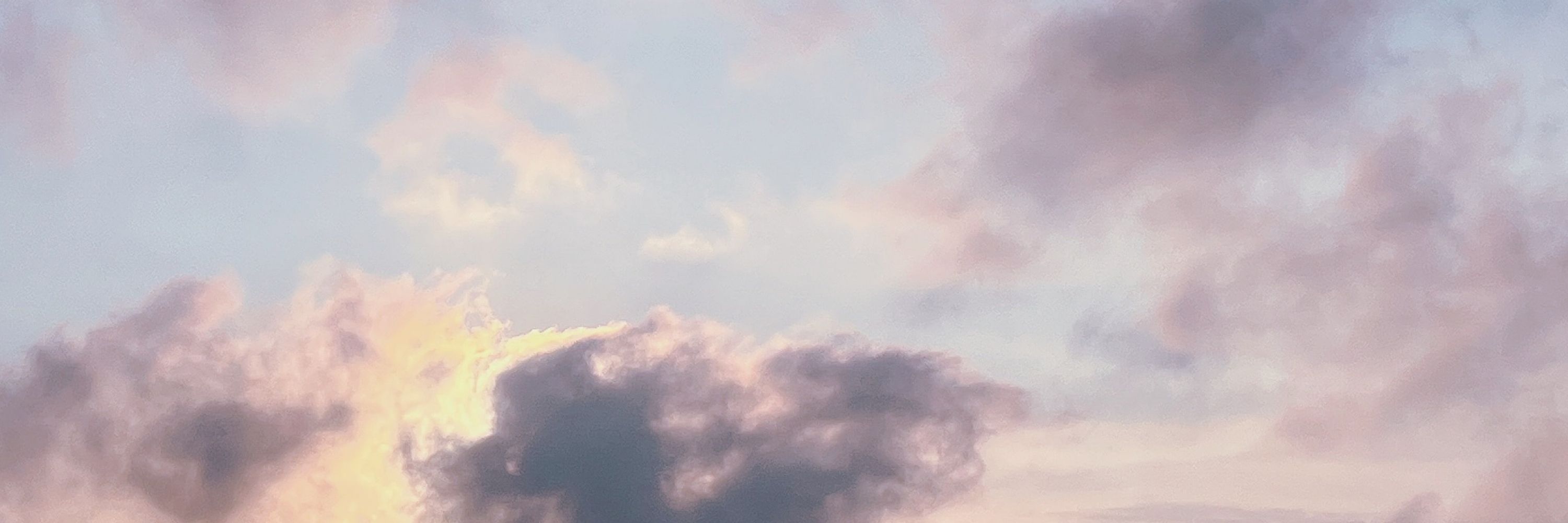 유네