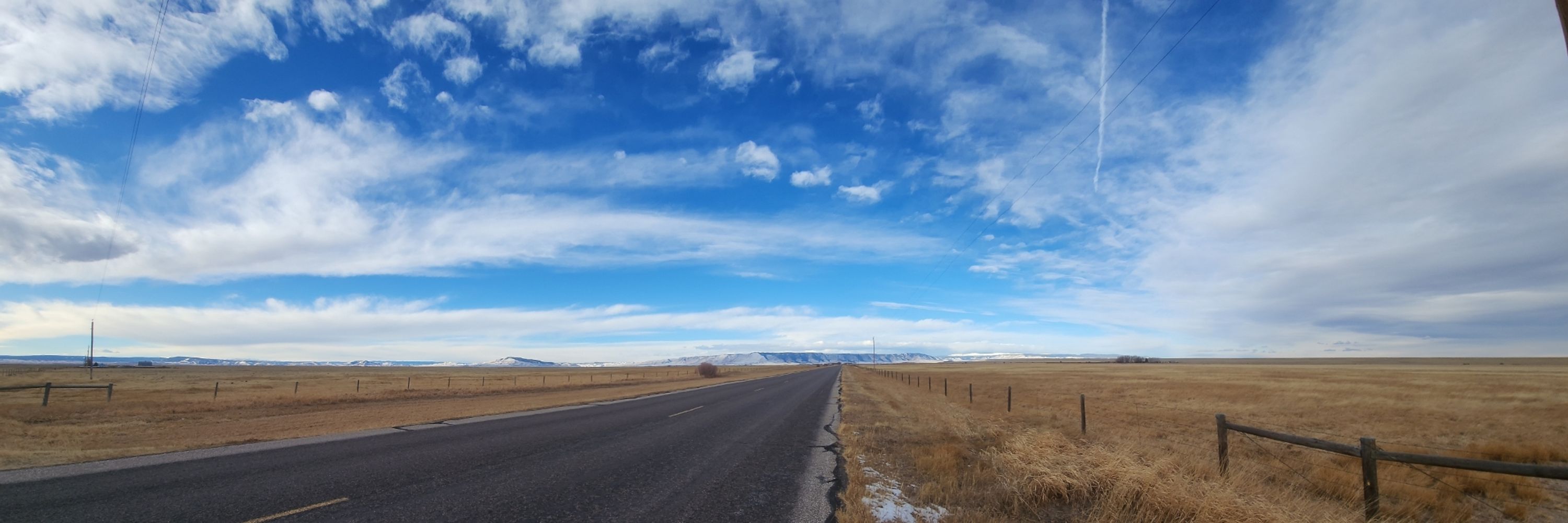Jackelope of the Plains