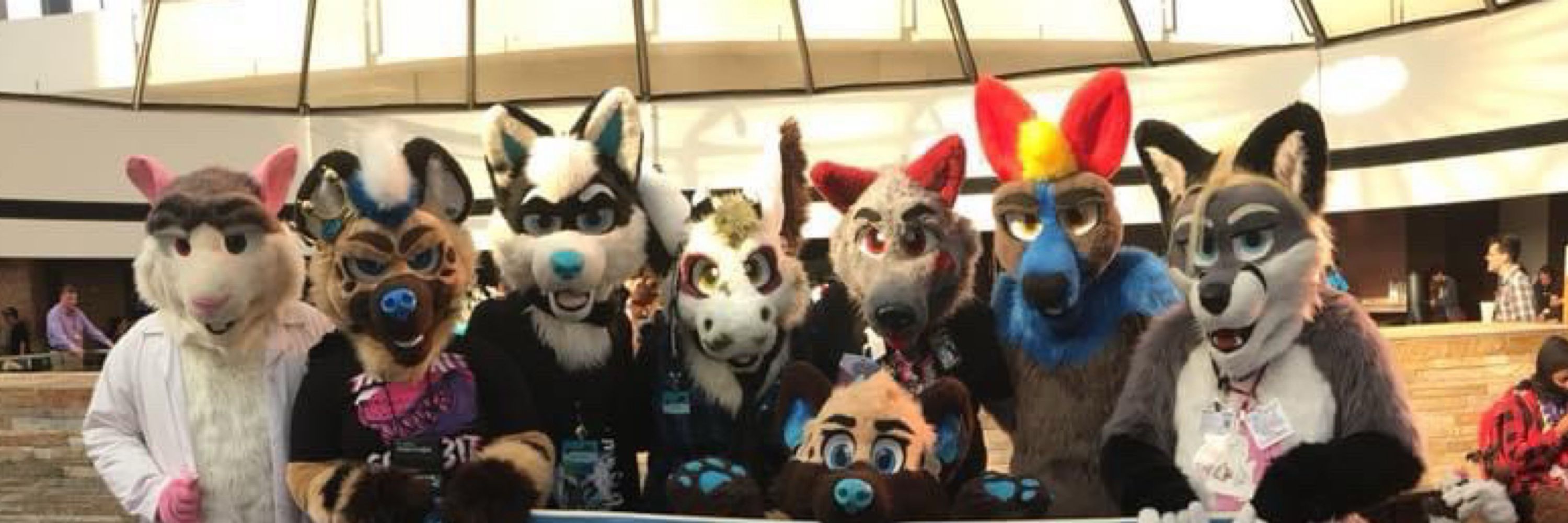 HYENAHOY