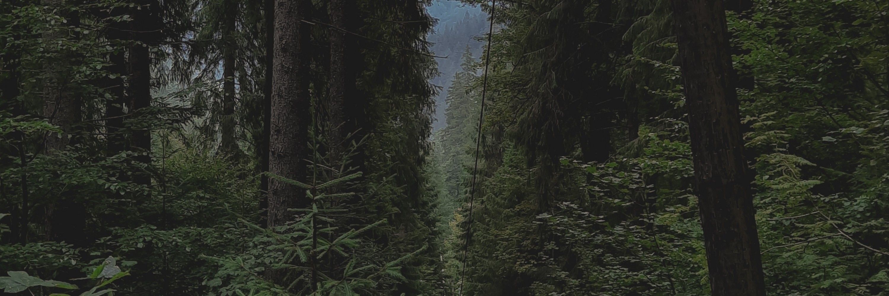все харить
