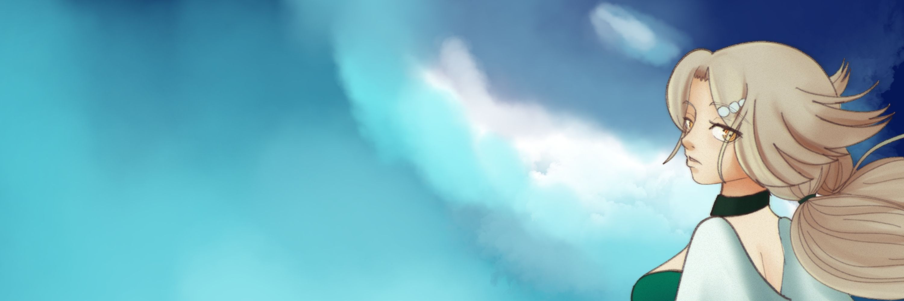 banner