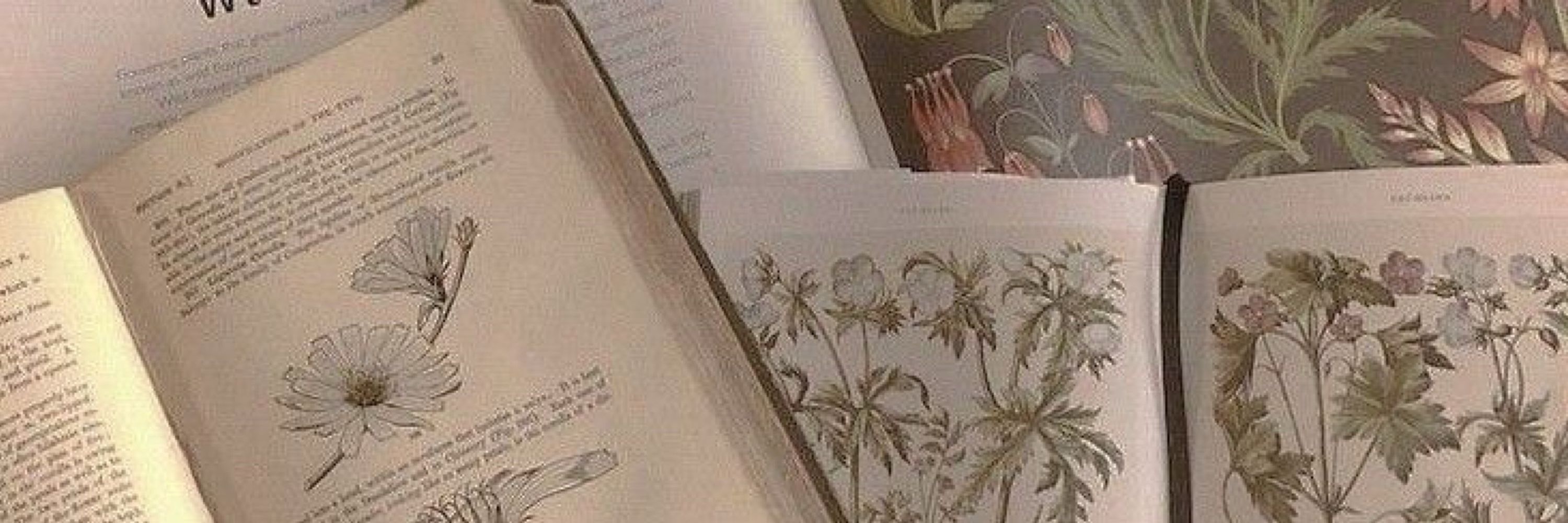 letícia 📖: 