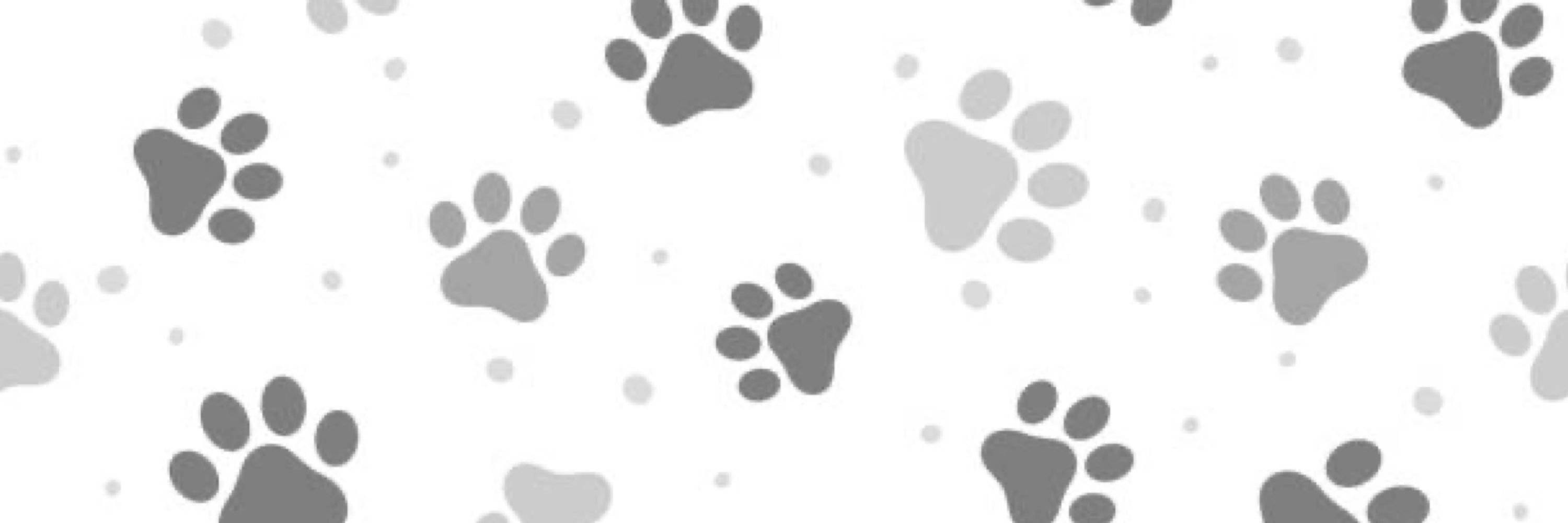 Kit