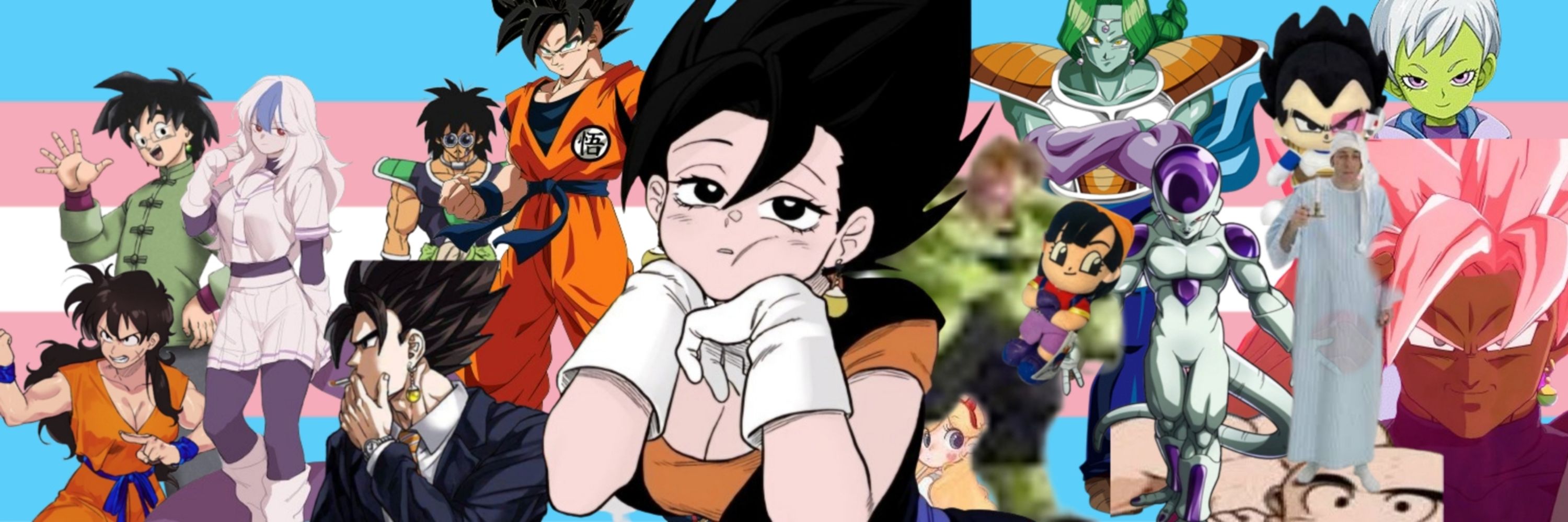 Trans Vegito