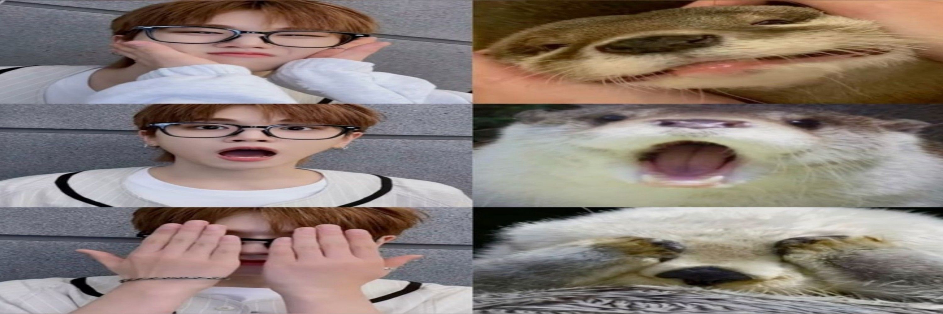 adnama