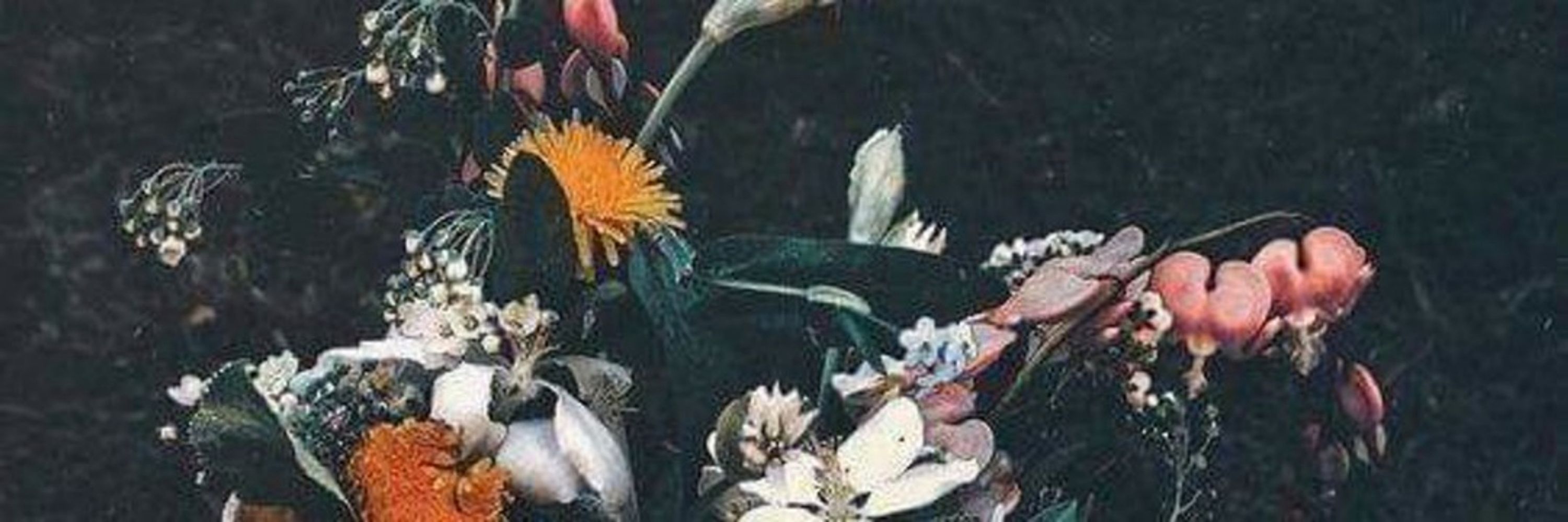 Alseida7