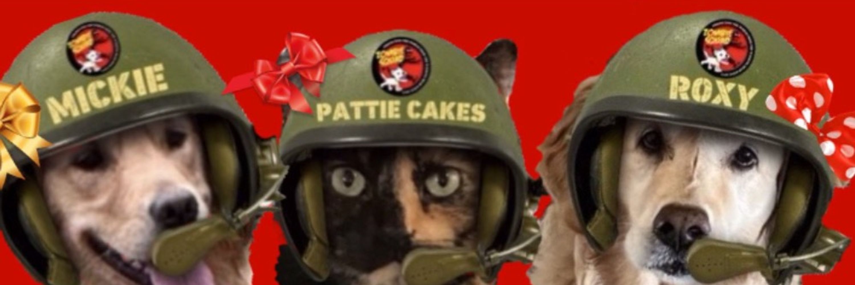 Roxy, Mickie, Pattie Cakes & Mom #ZSHQ