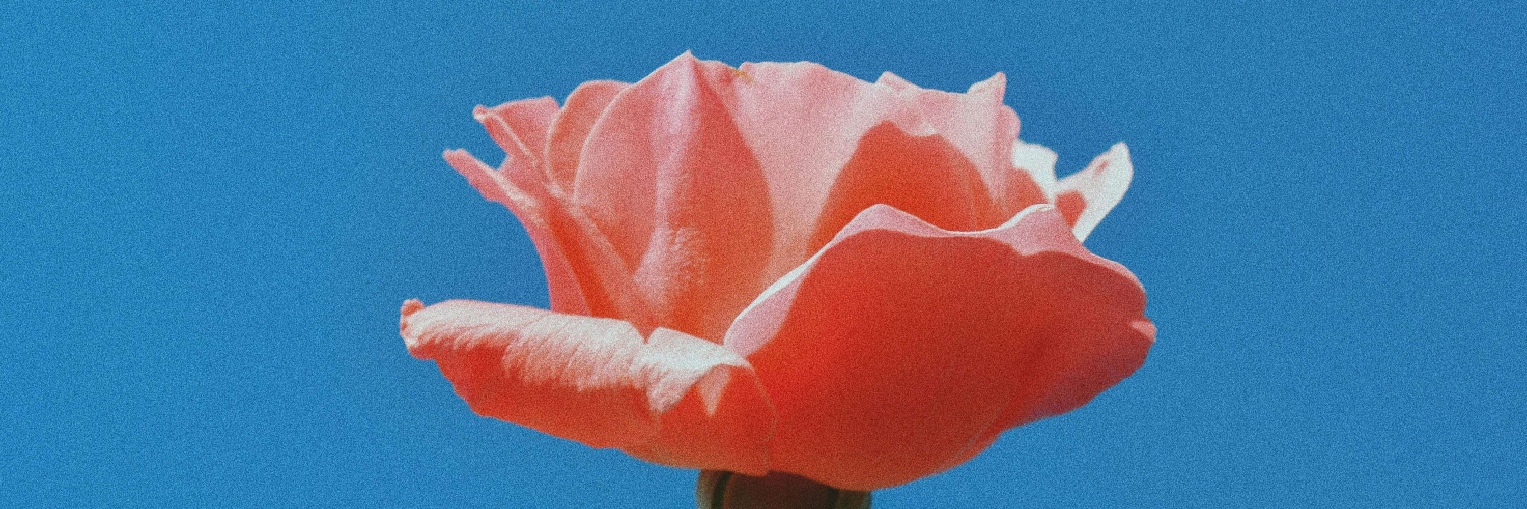 별사탄