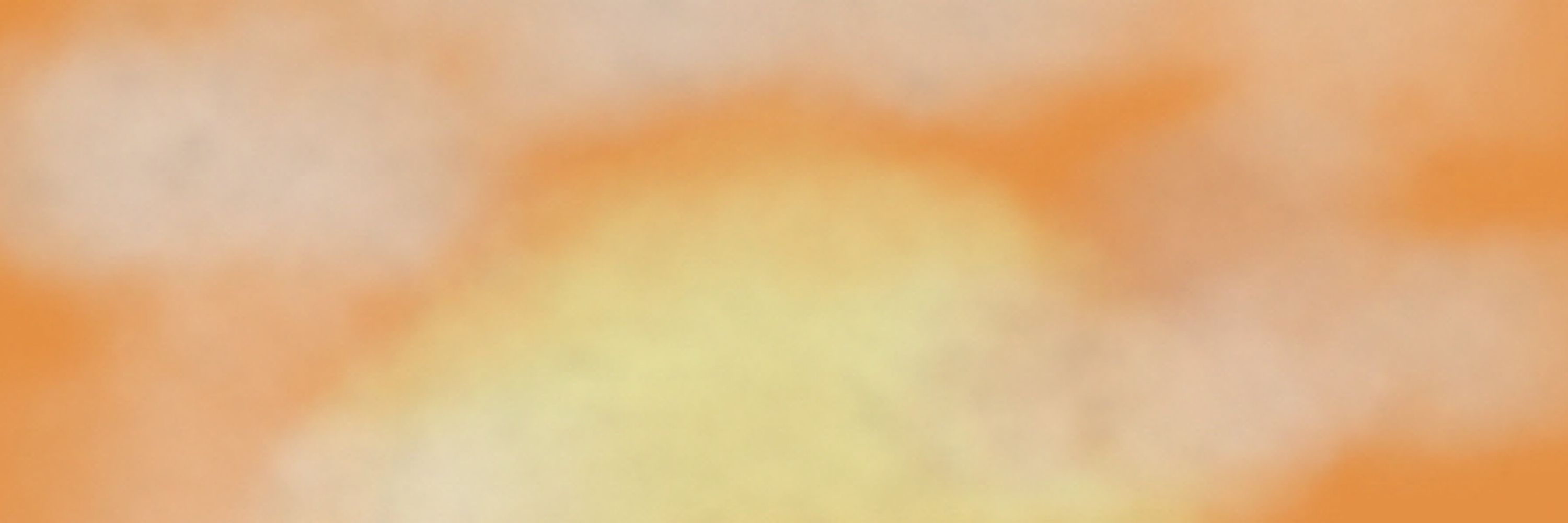 SonaSoup 
