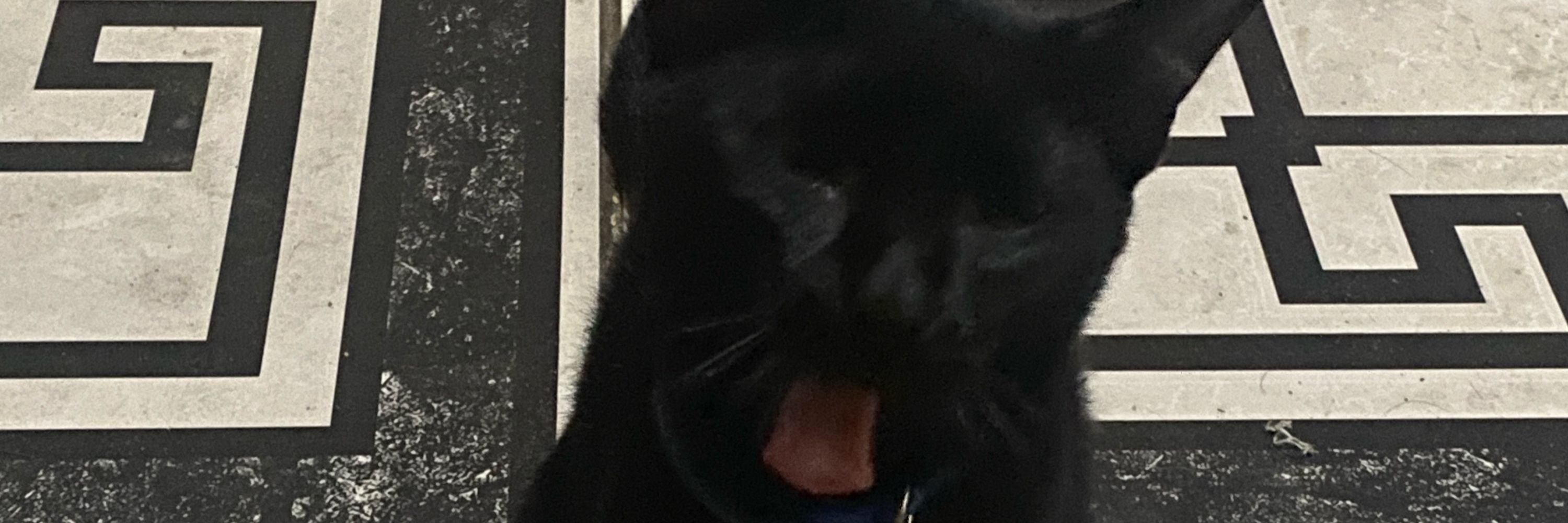 cl