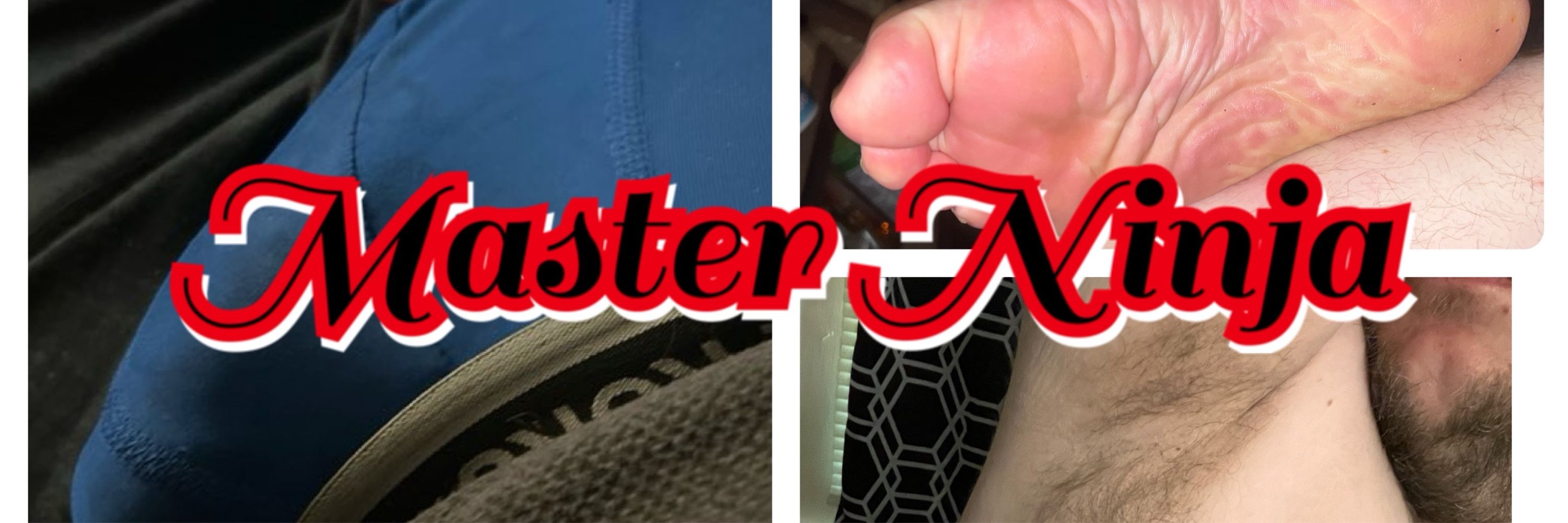 Master Ninja