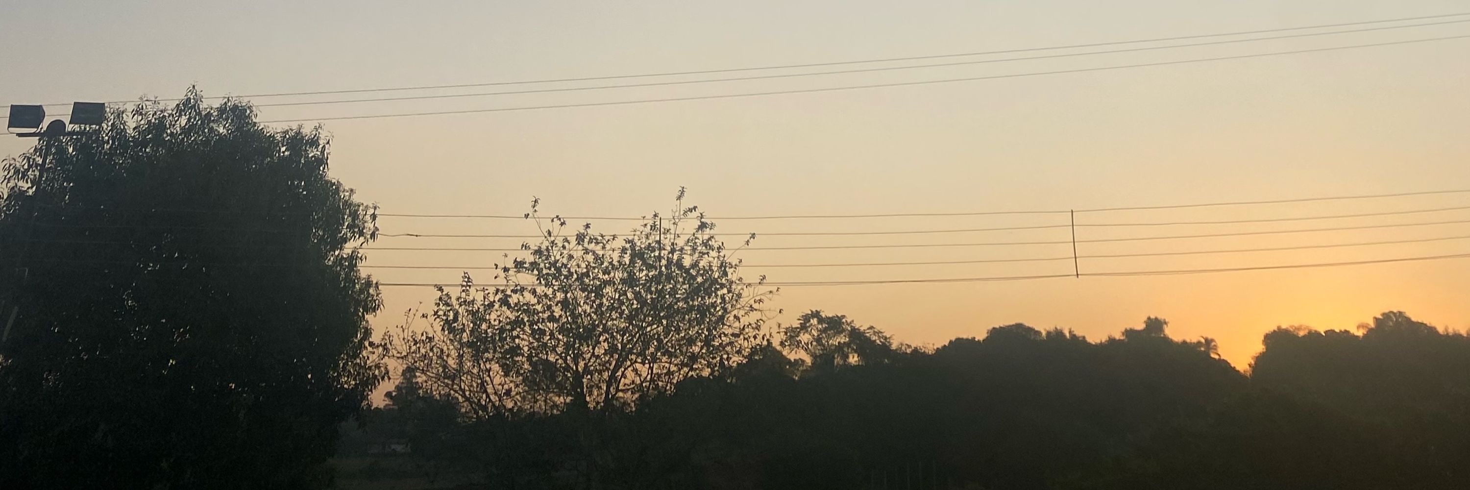 Milene Trindade 🌾🧡