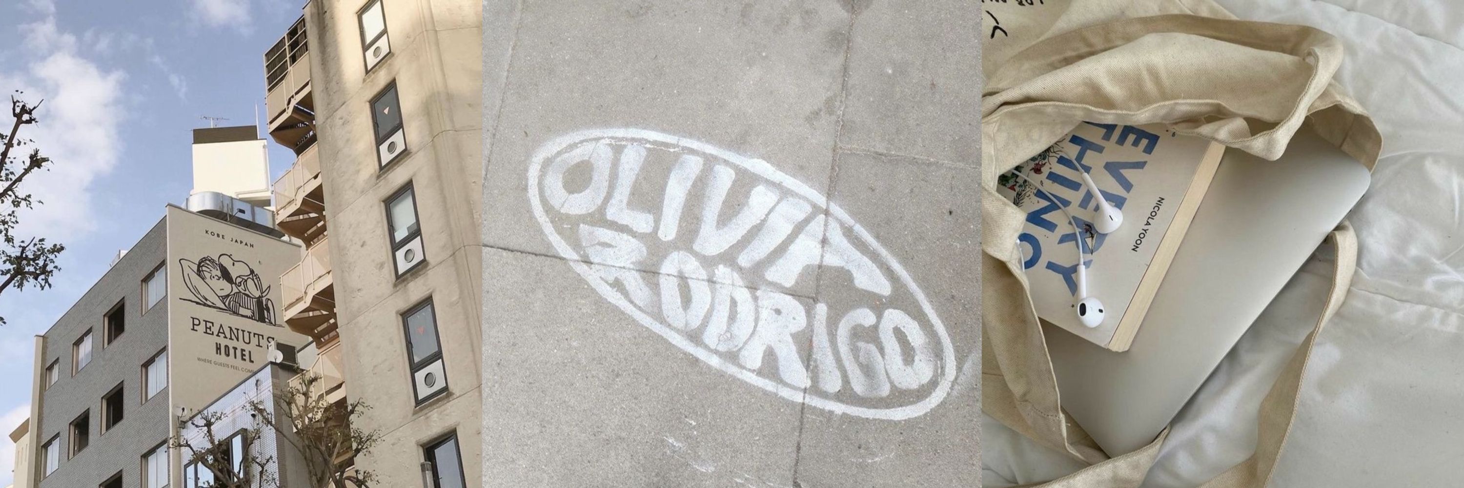 pedro juridico evermore