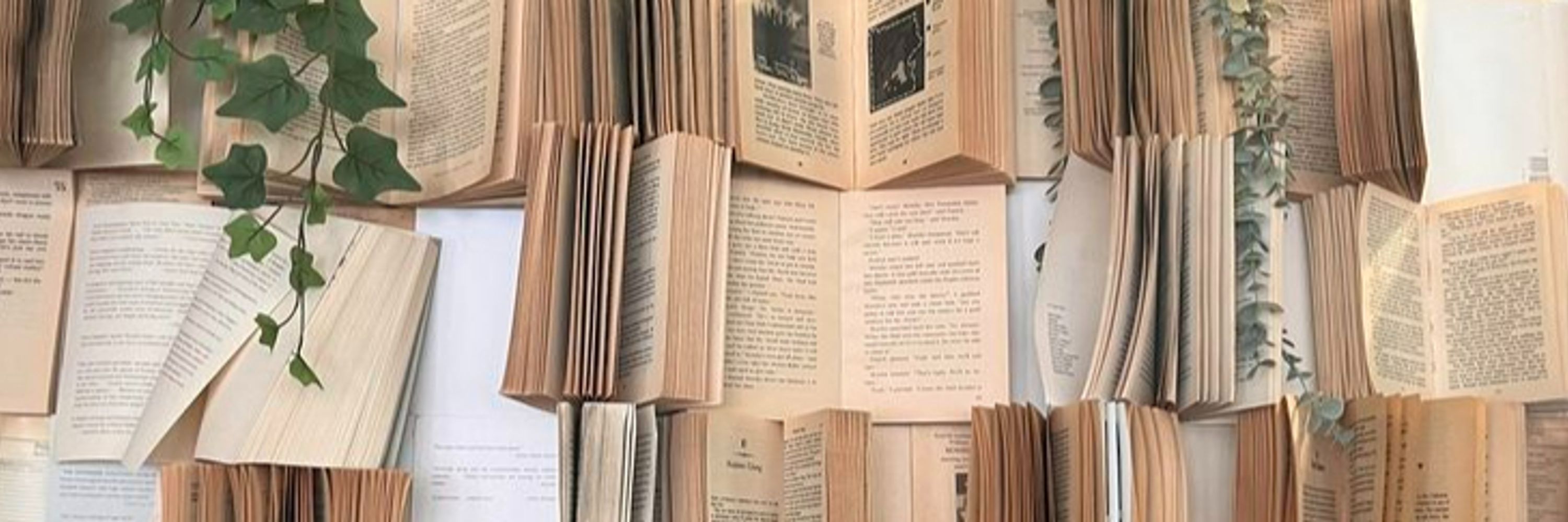Backwater Books and Bibliopub