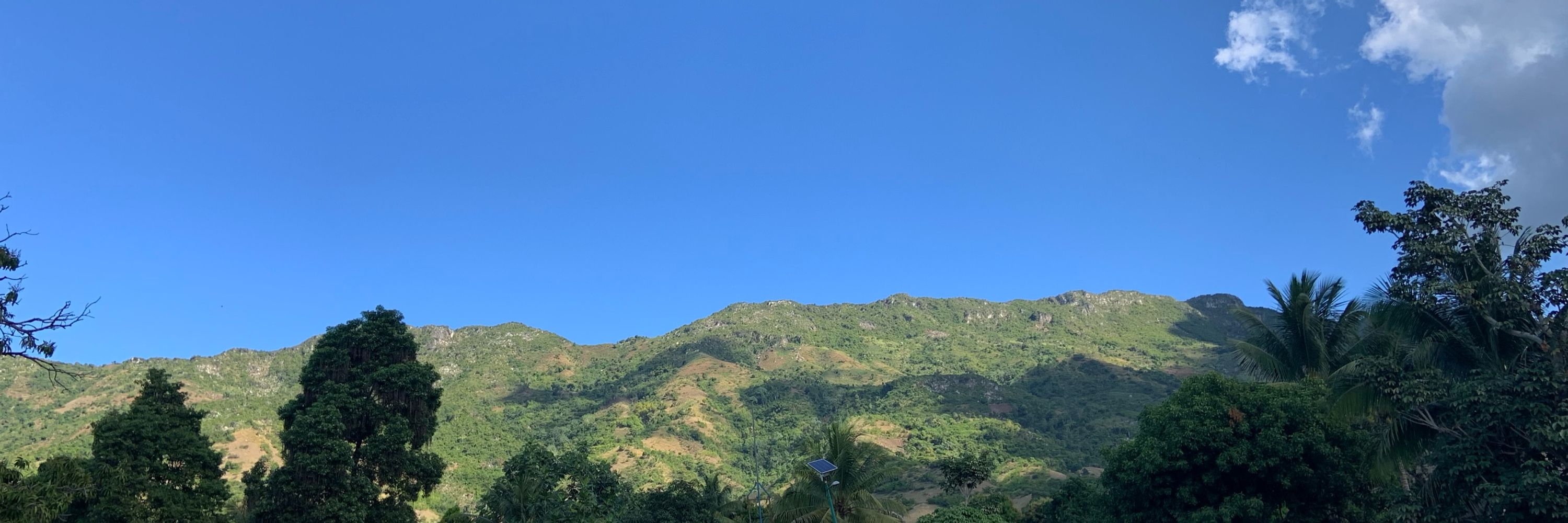 Malu