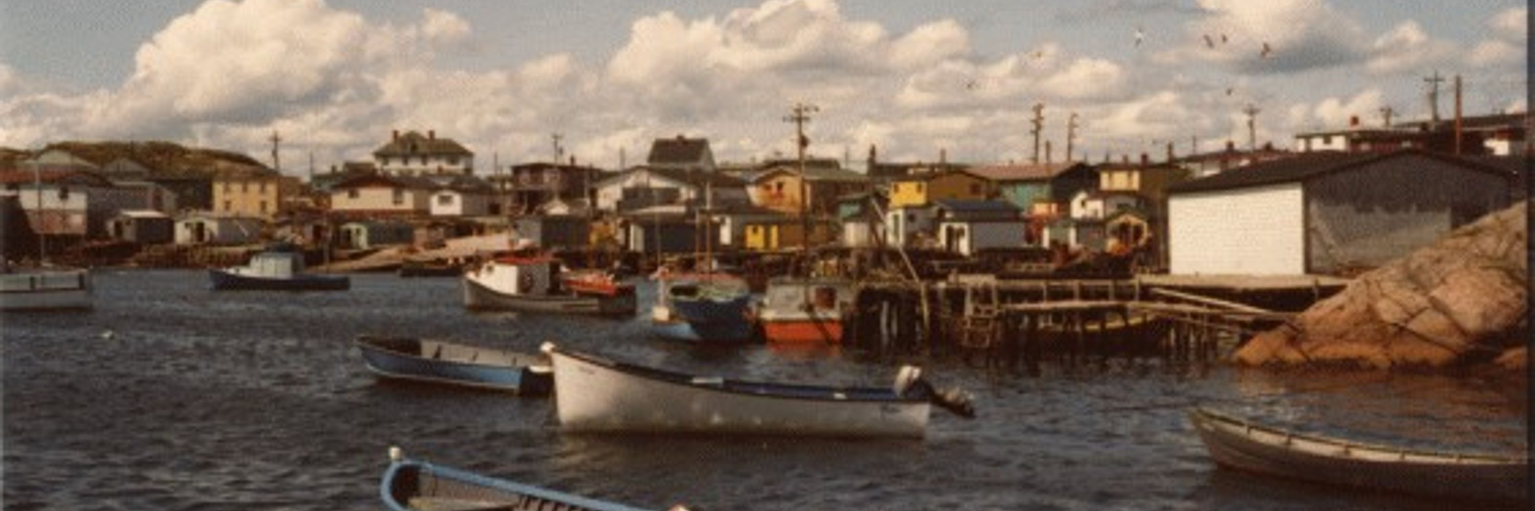 MUNFLA 