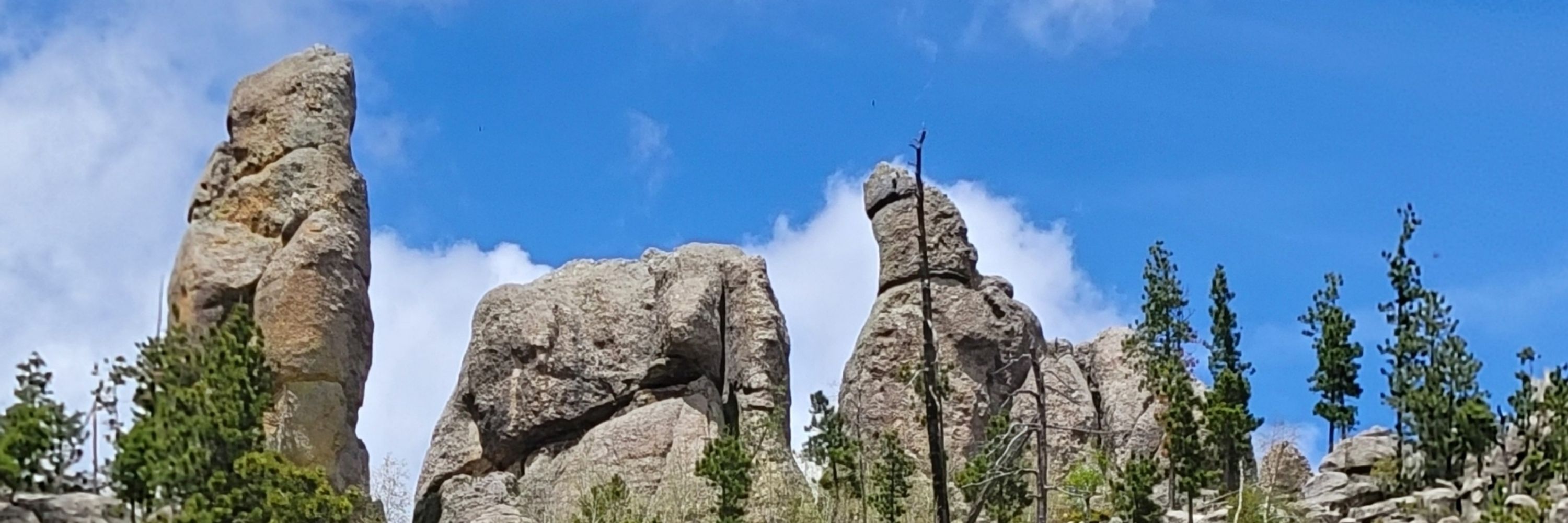 DezinSDak
