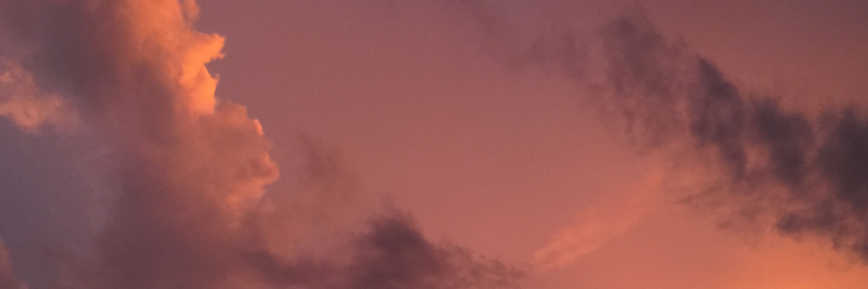 sidnee • 林欣霓