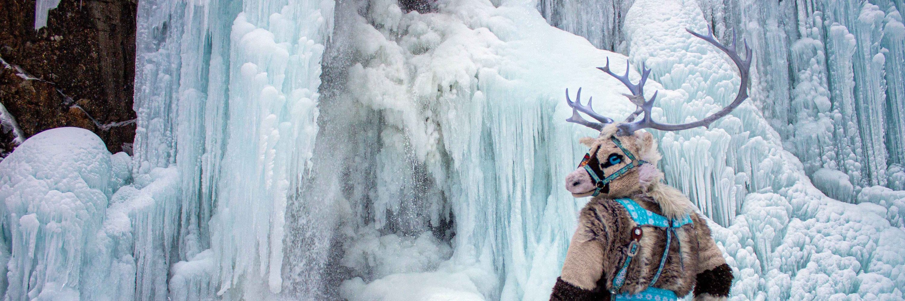 Jul Reindeer 