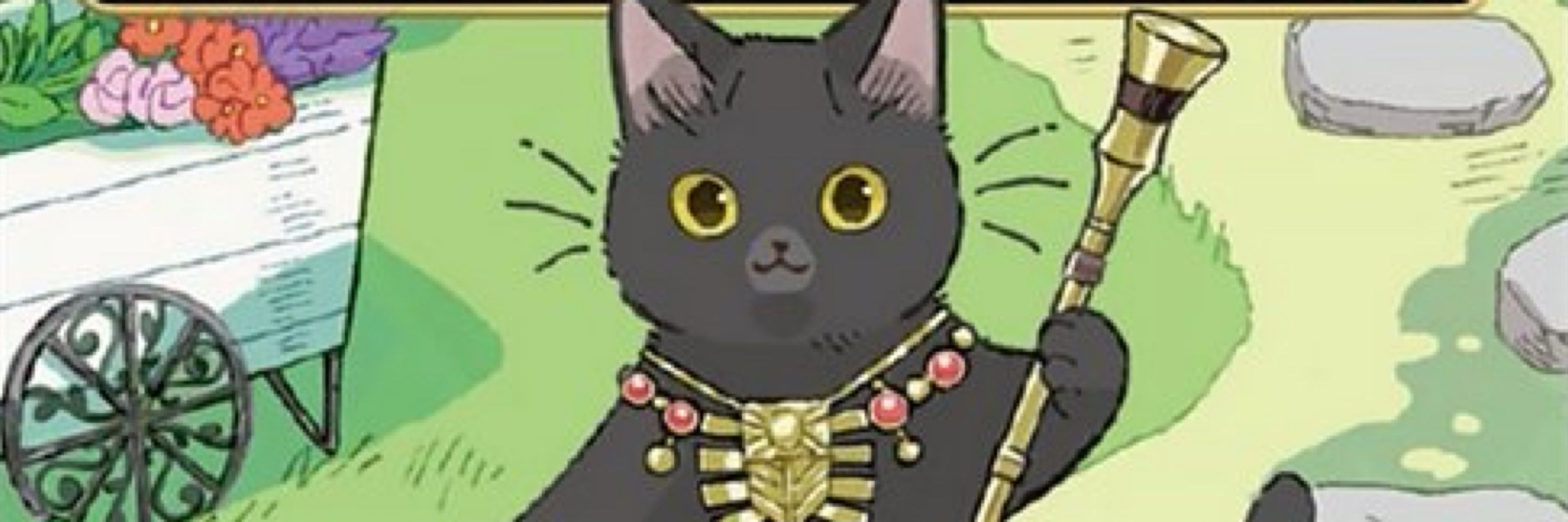 くろねこ