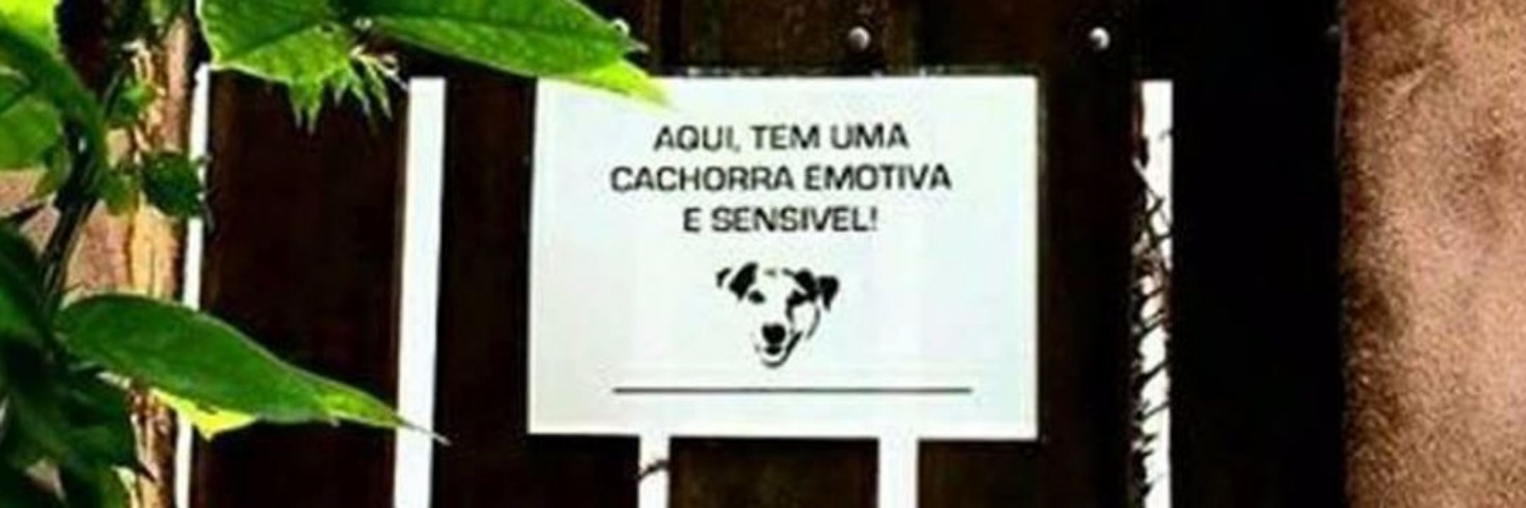 Rodrigo