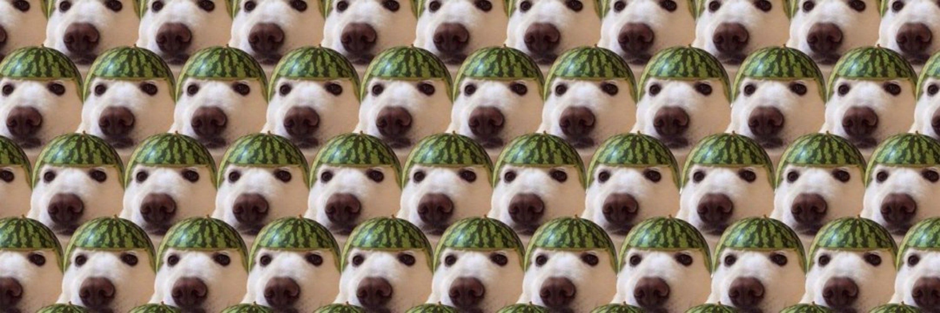Amlain🦅🍉